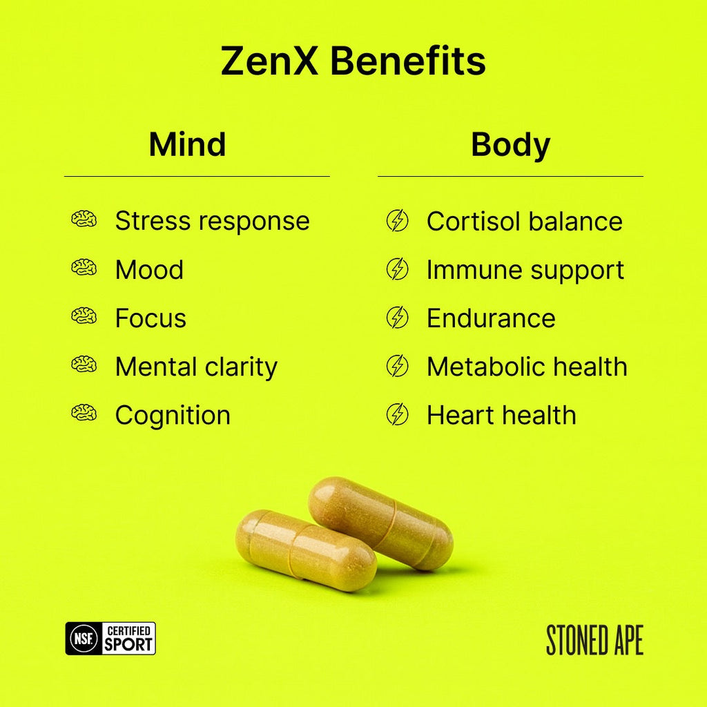 Calm Energy Bundle