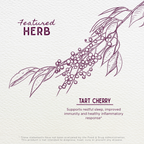 Tart Cherry Tincture