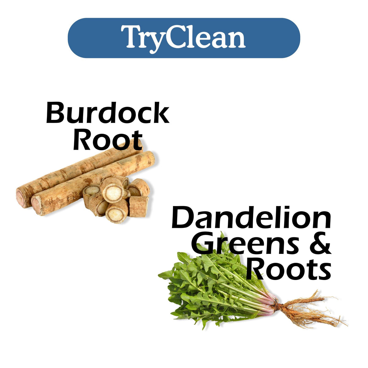 TryClean Bundle