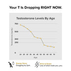 Nature's Lab Gold Vital Testosterone - 90 Capsules