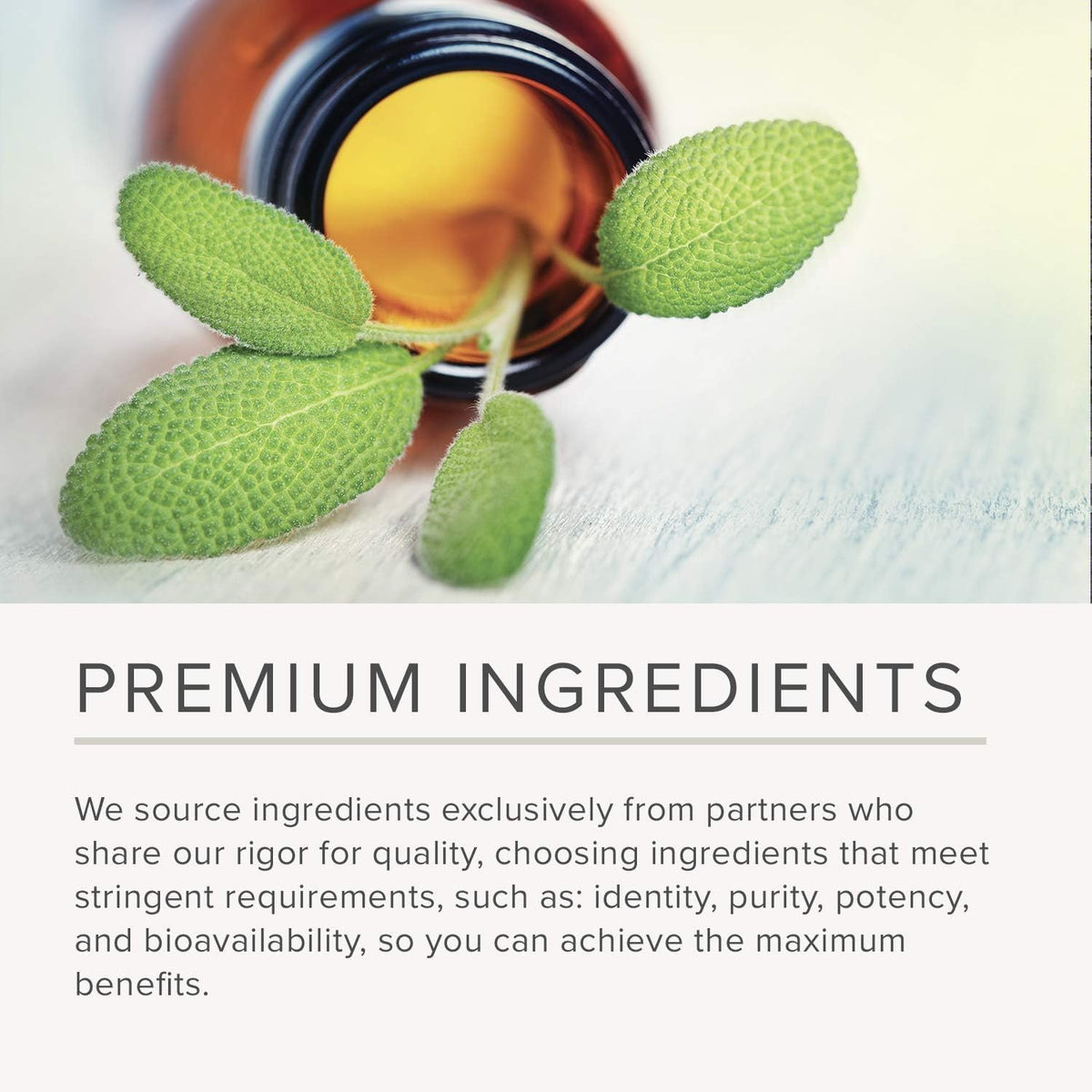 NusaPure Passion Flower 20:1 Extract, 300 mg, 120 Veggie Caps, Non-GMO, Bioperine, Extract Supplement