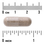 Valerian Root Extract - Standardized
