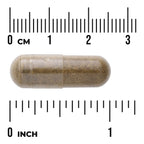 Full Spectrum Damiana