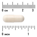 Digestitol with Enzymes & BioPerine