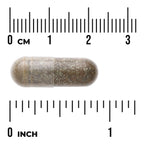 Holy Basil Extract - Standardized