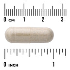 Glucomannan+ - Konjac Root