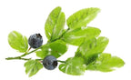 Value pack - Organic pH Balancing Facial Toner