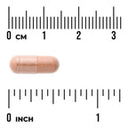 Pycnogenol