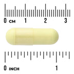 Ultimate Respiratory Defense with NAC and Quercetin