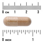 Agaricus Blazei Mushroom Extract