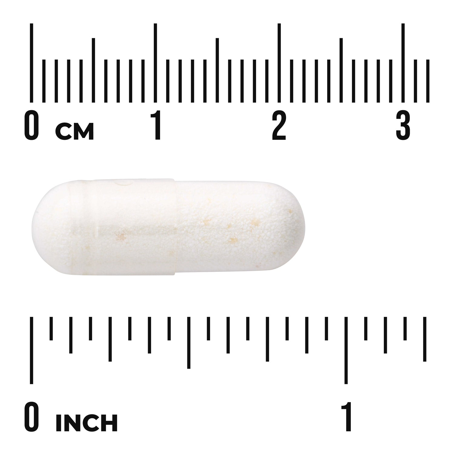 Lactobacillus Acidophilus