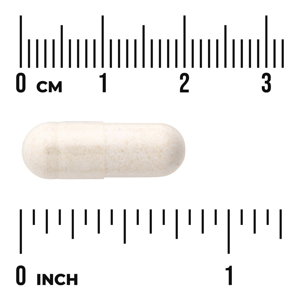 Zinc Carnosine - Featuring PepZinGI