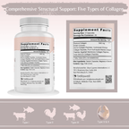 Collagen Peptides Types I, II, III, V, X by Bellawell