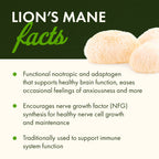 Organic Lion's Mane Mushroom