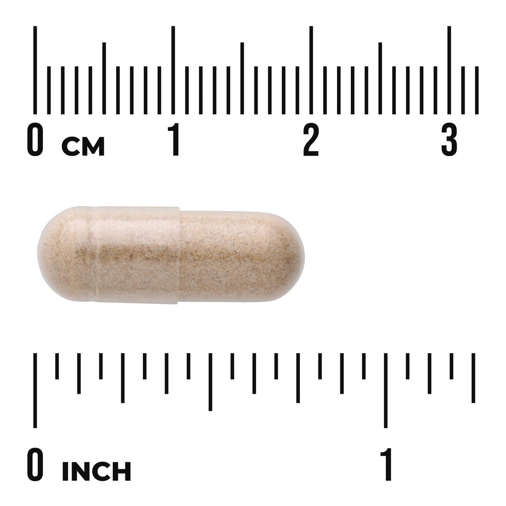 Elecampane Root - 4:1 Extract