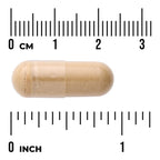 High Absorption Ashwagandha & Black Pepper - Featuring BioPerine