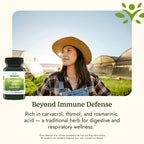 Oregano Oil 10:1 Extract