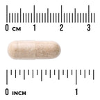Prostate Glandular - Men's Health