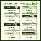 Cordyceps