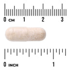 Japanese Oyster Extract