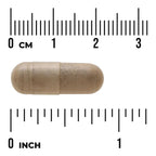Pomegranate Extract - Standardized