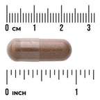 Herbal Prostate Complex