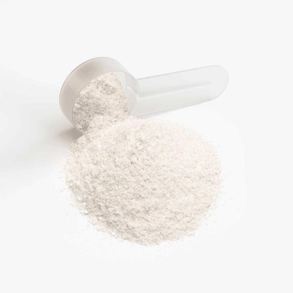 Enerza LE Energy Powder Lychee Splash | Sugar-Free Focus Support | 140g