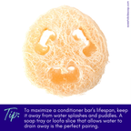 Essential Oil Conditioner Bar - Citrus Patchouli with Olena (Turmeric)