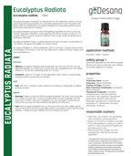 Eucalyptus Radiata Essential Oil