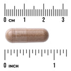 Full Spectrum Saw Palmetto