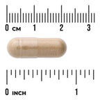 Full Spectrum Astragalus Root