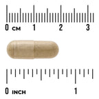 Full Spectrum Buchu Leaf Extract