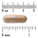 Sprouted Broccoli Seed - Made with Organic Broccoli Seed