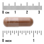 Cinnamon Bark - Maximum Strength