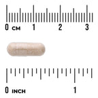 Huperzine A - Maximum Strength
