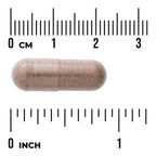Full Spectrum Saw Palmetto
