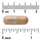Reishi Mushroom Extract - Standardized