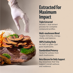 Organic Mushroom Complex Supplement Capsules