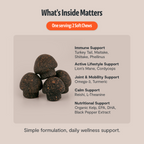 Organic Mushroom Complex for Dogs