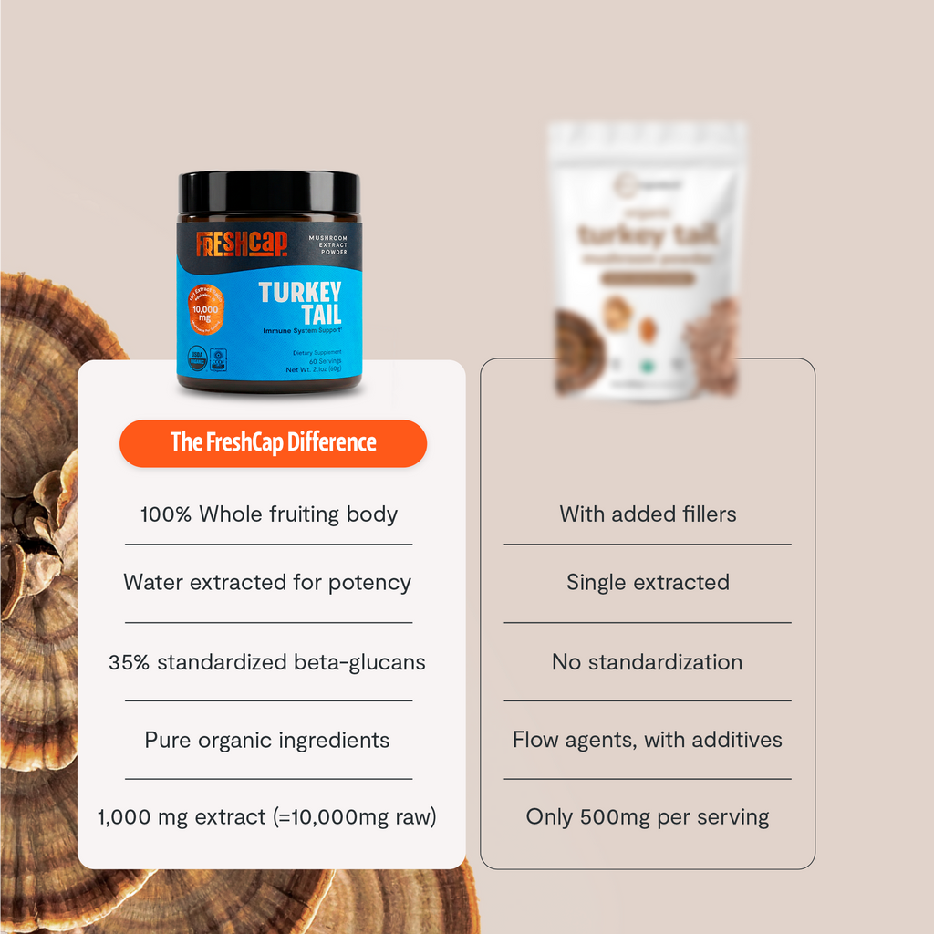 Organic Turkey Tail Mushroom Powder