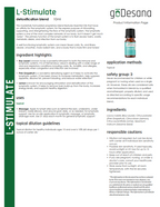 Daily Wellness Essential Oil Trio