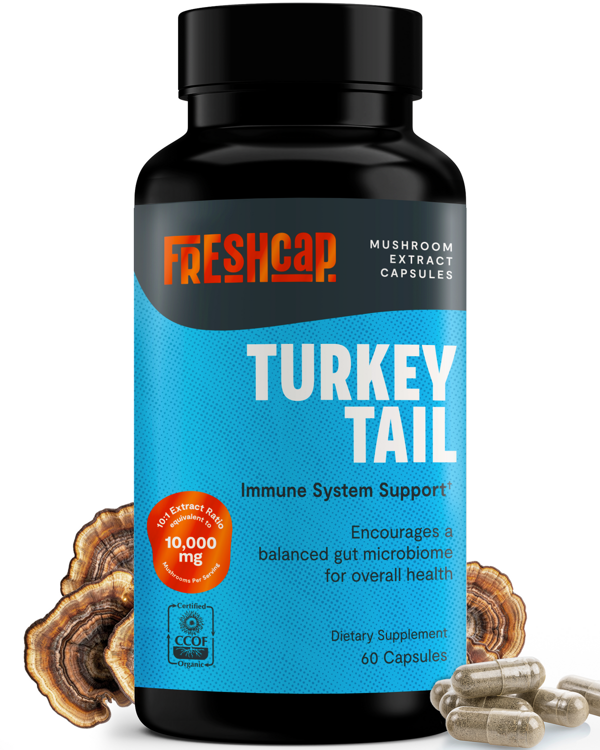 Organic Turkey Tail Mushroom Capsules