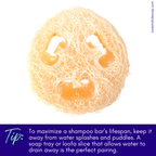 Solid Shampoo Bar - Mamaki Lemongrass