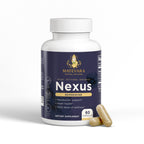 Nexus Berberine HCL Supplement | 60 Count