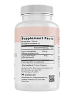 Organic Ashwagandha - An Ancient Treasure by Bellawell