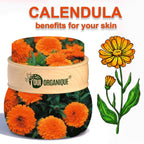OUI ORGANIQUE Calendula Anti-Aging Night Cream Products
