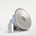 Zenflow Purifying Shower Head