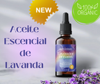 Lavender Dreams Essential Oil (organic) 1 oz