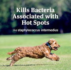 PetArmor Hot Spot Skin Remedy for Dogs Non-Stinging Formula