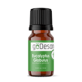 Eucalyptus Globulus Essential Oil